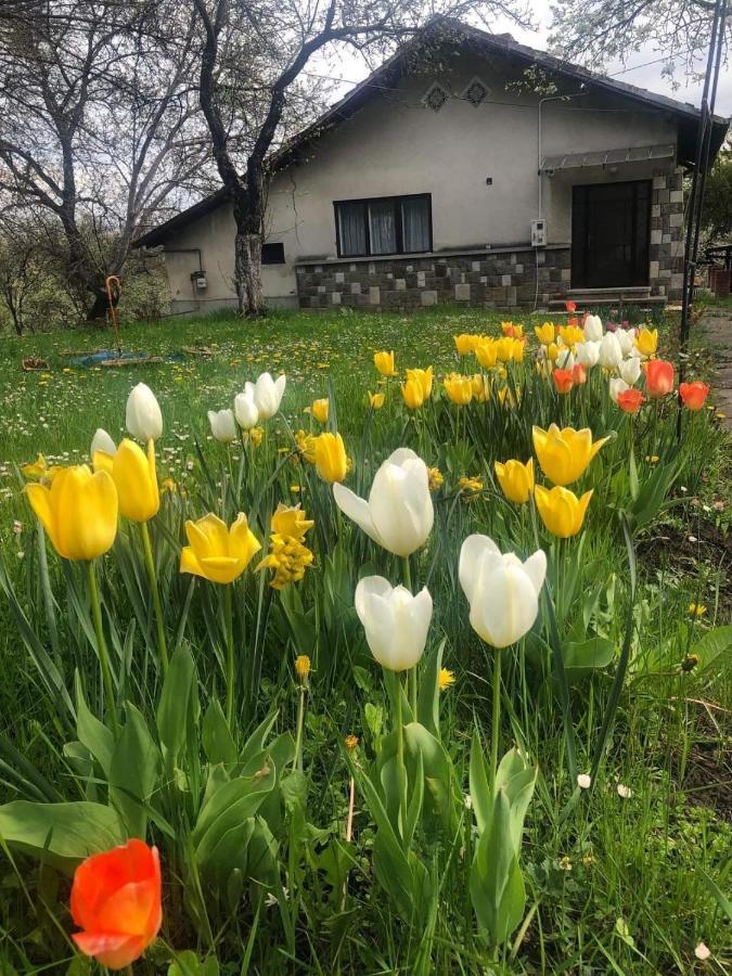 Casa Rurala Cu Livada Lavandra Cîmpina Luaran gambar