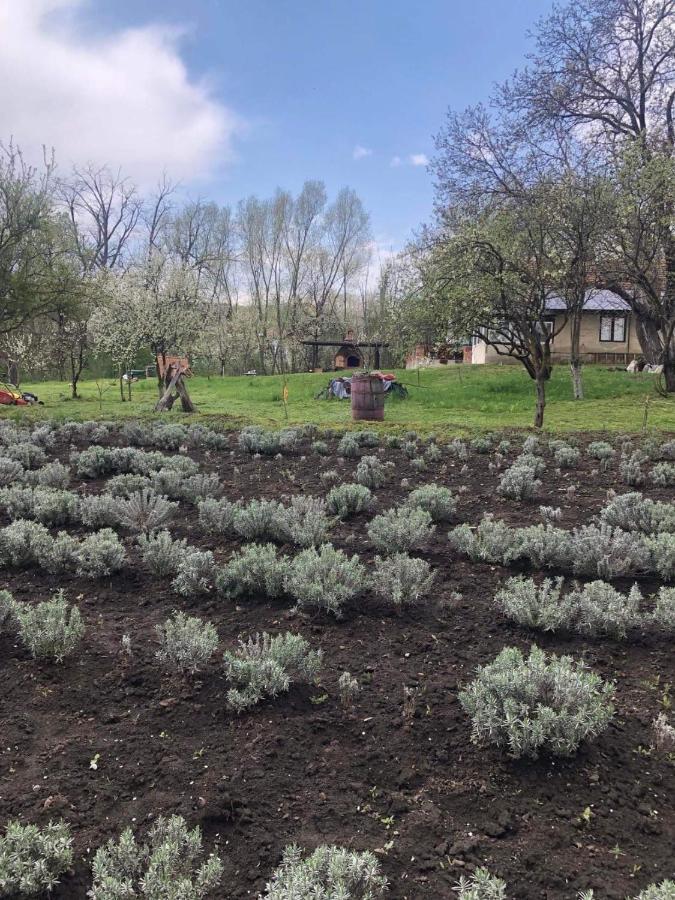 Casa Rurala Cu Livada Lavandra Cîmpina Luaran gambar